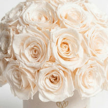 Load image into Gallery viewer, Essence Beige Suede Superdome Box | White Roses