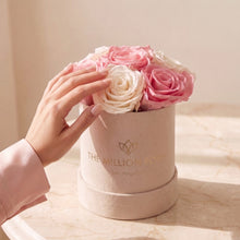 Load image into Gallery viewer, Essence Beige Suede Box | Light Pink &amp; White Roses