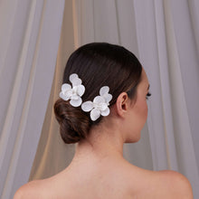 Load image into Gallery viewer, Two-Piece Resin Flower Hair Pin Set