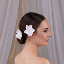 Load image into Gallery viewer, Two-Piece Resin Flower Hair Pin Set