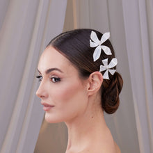 Load image into Gallery viewer, Two-Piece Resin Flower Hair Pin Set