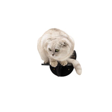 Load image into Gallery viewer, Wooden Cat Step - Black