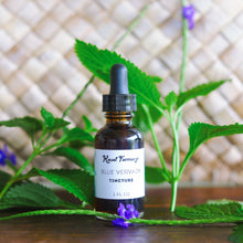 Load image into Gallery viewer, Blue Vervain Tincture