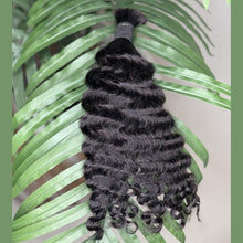 Load image into Gallery viewer, Burmese Curly
