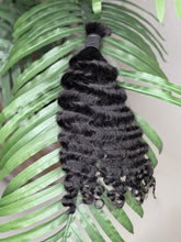Load image into Gallery viewer, Burmese Curly