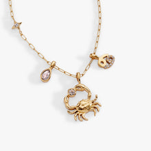 Load image into Gallery viewer, Cancer Zodiac Charm Cluster Necklace