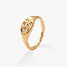 Load image into Gallery viewer, Capricorn Zodiac Ring
