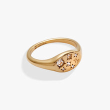 Load image into Gallery viewer, Capricorn Zodiac Ring