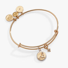 Load image into Gallery viewer, Capricorn Zodiac Charm Bangle