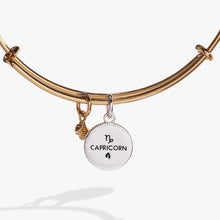 Load image into Gallery viewer, Capricorn Zodiac Charm Bangle