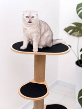Load image into Gallery viewer, Cat Climbing Tower