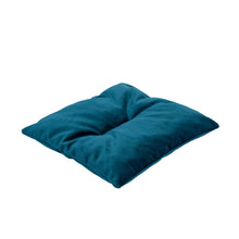 Load image into Gallery viewer, Cat Cushion Pillow - Emerald