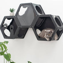 Load image into Gallery viewer, Wall Mount Cat Shelves Black