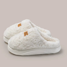 Load image into Gallery viewer, Women's Plush Thick Soled Cotton Slippers | Warm Non-Slip Indoor Home Shoes