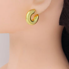 Load image into Gallery viewer, Puffy Snail Gold Silver Thick Hoop Earrings, Sku#A267