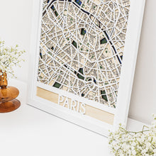 Load image into Gallery viewer, 3D City Map Paris