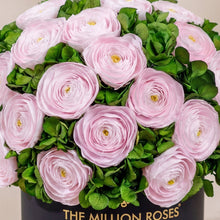 Load image into Gallery viewer, Classic Black Box | Light Pink Persian Buttercups &amp; Green Hydrangeas