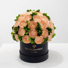 Load image into Gallery viewer, Classic Black Box | Peach Persian Buttercups &amp; Green Hydrangeas