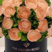 Load image into Gallery viewer, Classic Black Box | Peach Persian Buttercups &amp; Green Hydrangeas