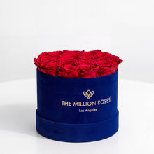 Load image into Gallery viewer, Classic Royal Blue Suede Box | Red Roses