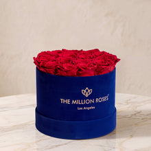 Load image into Gallery viewer, Classic Royal Blue Suede Box | Red Roses