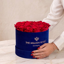 Load image into Gallery viewer, Classic Royal Blue Suede Box | Red Roses
