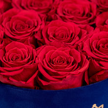 Load image into Gallery viewer, Classic Royal Blue Suede Box | Red Roses