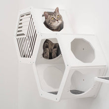 Load image into Gallery viewer, Cat Climbing Wall Shelves White