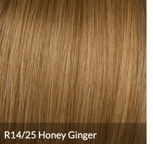 Load image into Gallery viewer, Clip In Bangs Color Ss14/25 Shaded Honey Ginger