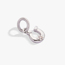 Load image into Gallery viewer, Horseshoe Charm