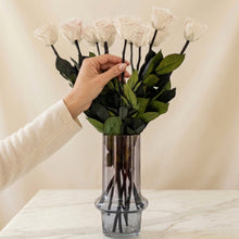 Load image into Gallery viewer, Long Stem Roses | White Roses