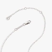 Load image into Gallery viewer, Pisces Zodiac Precious Necklace