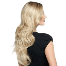Load image into Gallery viewer, DOWN TIME - wig by Raquel Welch