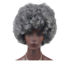 Load image into Gallery viewer, Grey Short Afro Curly Hair Wigs Women Large Fluffy Synthetic Hair Short Full Wig for Party and Daily