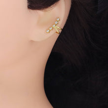 Load image into Gallery viewer, One Line CZ Click on Earring, Sku#LD556