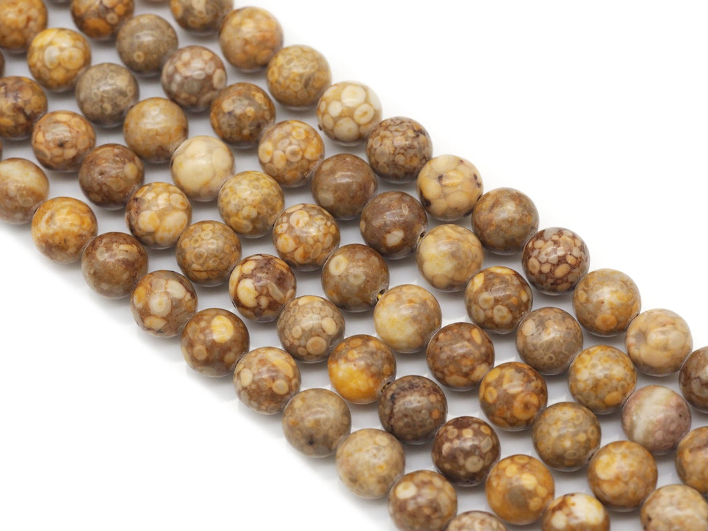 Genuine Brown Snail Fossil Agate Round Smooth Beads, Sku#U1350