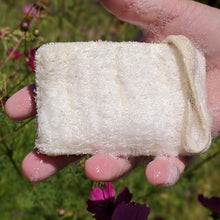 Load image into Gallery viewer, Eco Dish Washing Scrubbers 3 Pack - Loofah