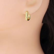 Load image into Gallery viewer, hammered Gold Silver Rectangle Hoop Earrings, Sku#A303
