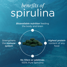 Load image into Gallery viewer, ENERGYbits® Spirulina | Large Bag