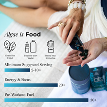 Load image into Gallery viewer, ENERGYbits® Spirulina | Large Bag