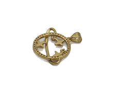 Load image into Gallery viewer, CZ Gold North Star On Earth Charm, Sku#LX126