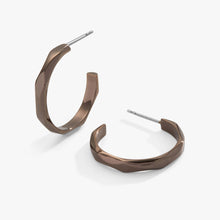 Load image into Gallery viewer, Faceted Hoop Earrings