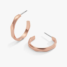 Load image into Gallery viewer, Faceted Hoop Earrings