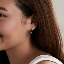 Load image into Gallery viewer, Faceted Hoop Earrings