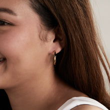 Load image into Gallery viewer, Faceted Hoop Earrings