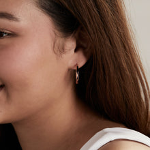 Load image into Gallery viewer, Faceted Hoop Earrings