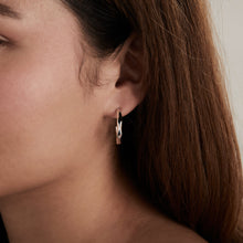 Load image into Gallery viewer, Faceted Hoop Earrings