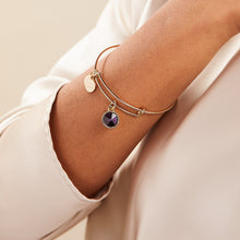Load image into Gallery viewer, February Birthstone Charm Bangle, Amethyst