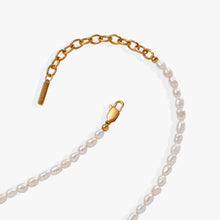 Load image into Gallery viewer, Freshwater Pearl Necklace