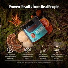 Load image into Gallery viewer, Organic Mushroom Extract Powder Blend